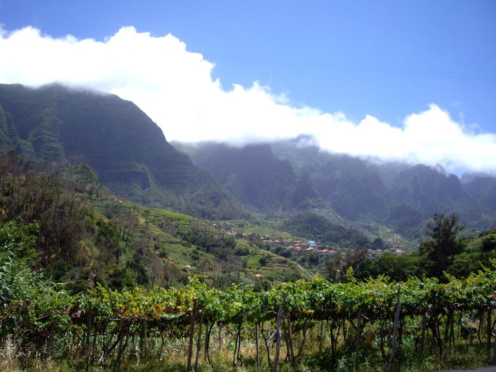 Holidays Madeira São Vicente Cameră foto